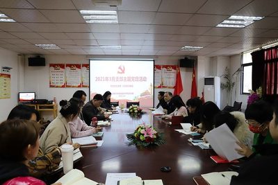 武汉南华光电职业技术学校3月支部主题党日活动